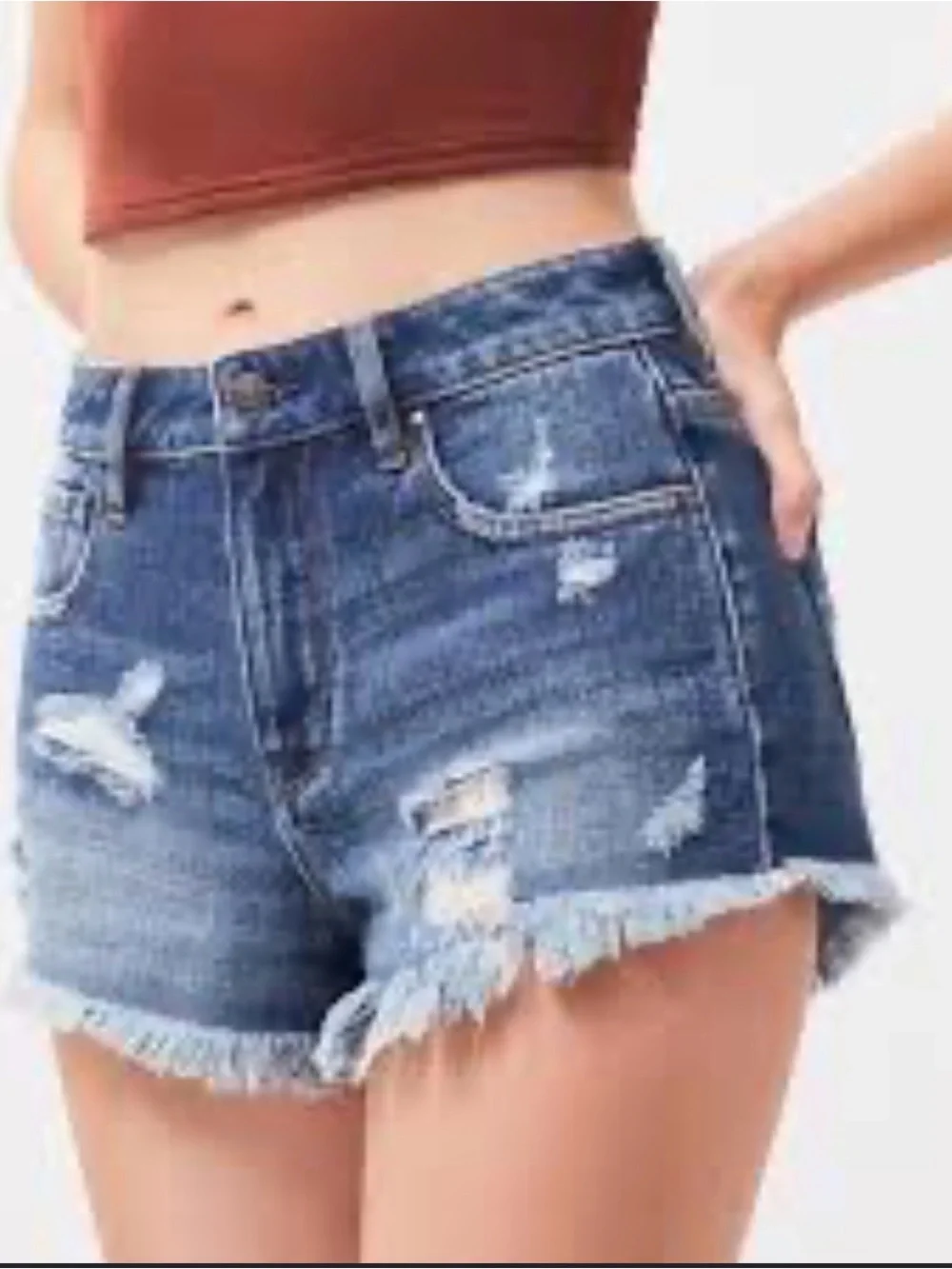 PacSun High Rise Festival Denim Shorts. Distressed Blue Denim Cutoff Shorts